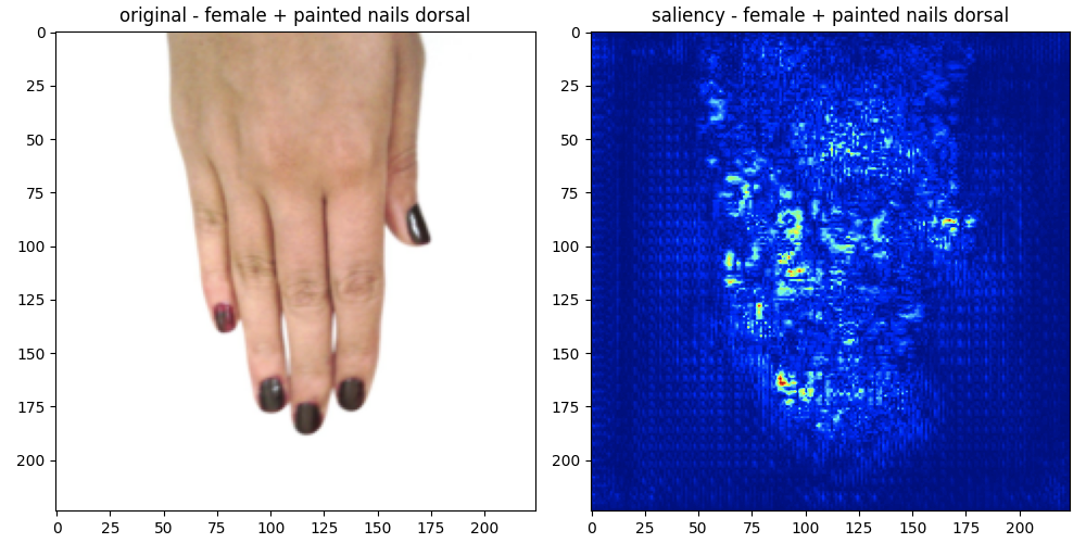 Original palmNet output showing a hand with painted nails beside a blue saliency map with strong responses around the fingers and nails.