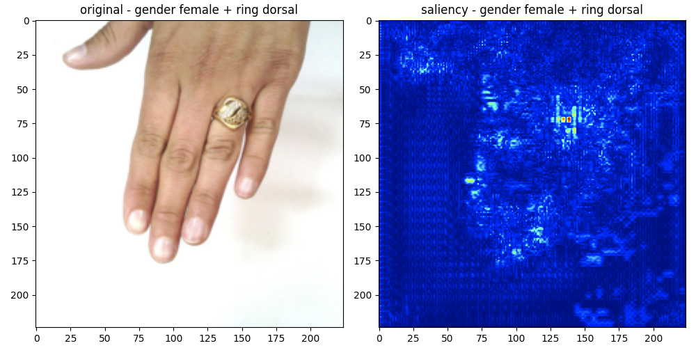 Original palmNet output showing a dorsal hand with a ring beside its blue saliency map. The strongest response is concentrated near the ring.